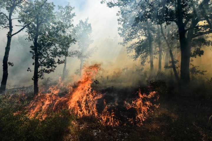 Haute-Corse est en feu, plus de 2.000 hectares sont brûlés